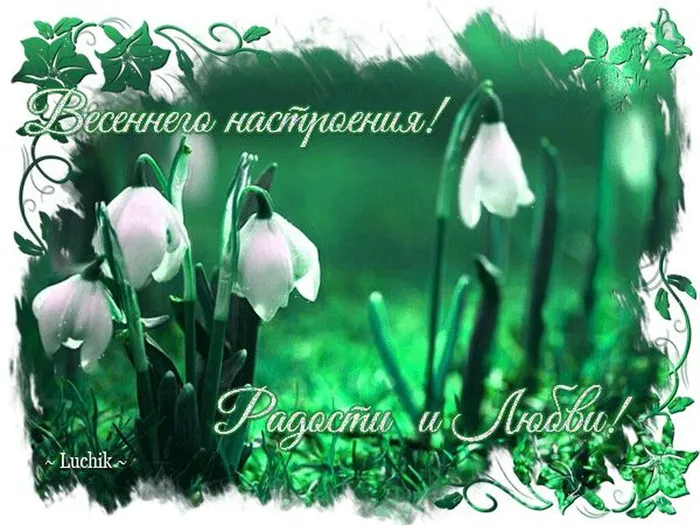 d458cf257e782803adf72c8660a4ef5c